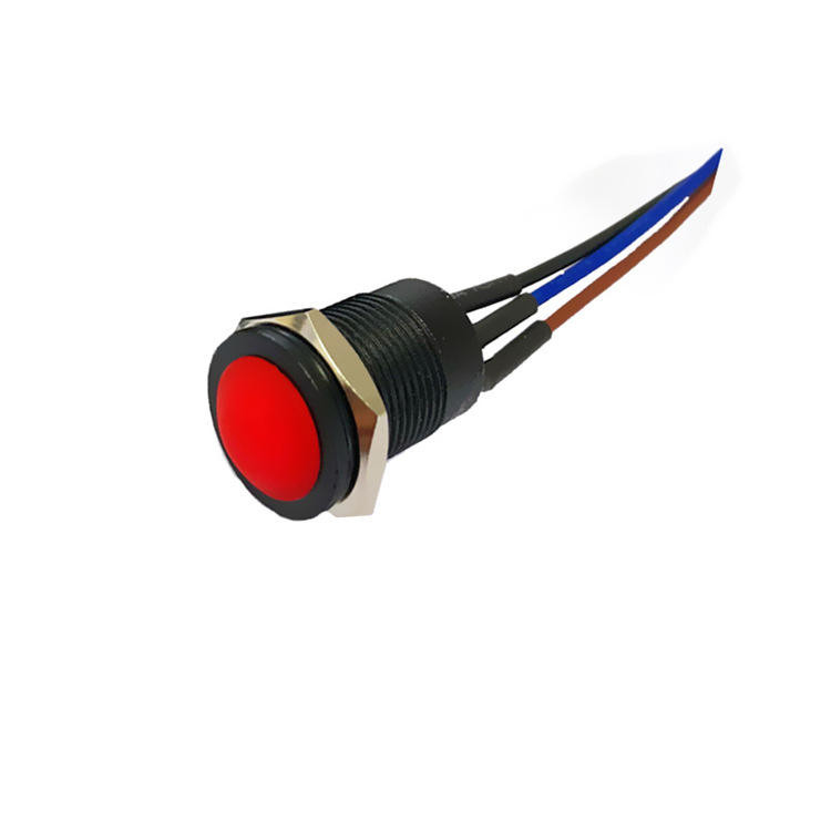 Wintai-Tech baskı düğmesi korn anahtarı 12v baskı düğmesi başlangıç anahtarı 12mm anlık baskı düğmesi Kablo montajı ile anahtar